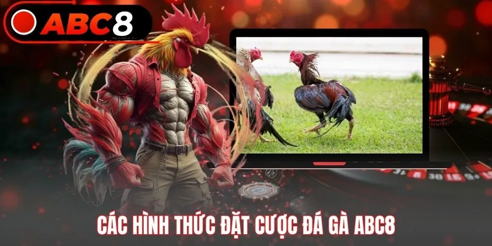 Các hình thức đặt cược đá gà ABC8