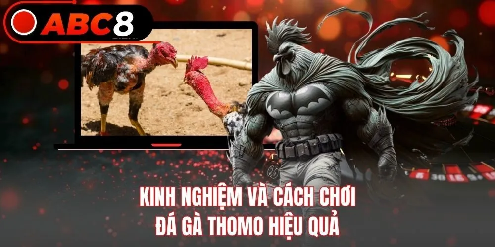 Kinh nghiệm và cách chơi đá gà Thomo hiệu quả
