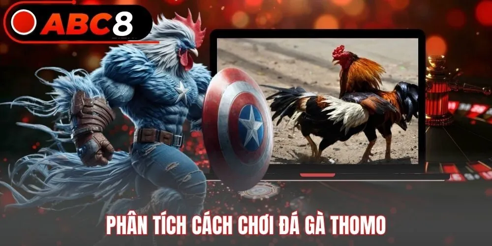 Phân tích cách chơi đá gà Thomo