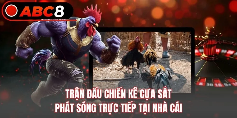 Trận đấu chiến kê cựa sắt phát sóng trực tiếp tại nhà cái