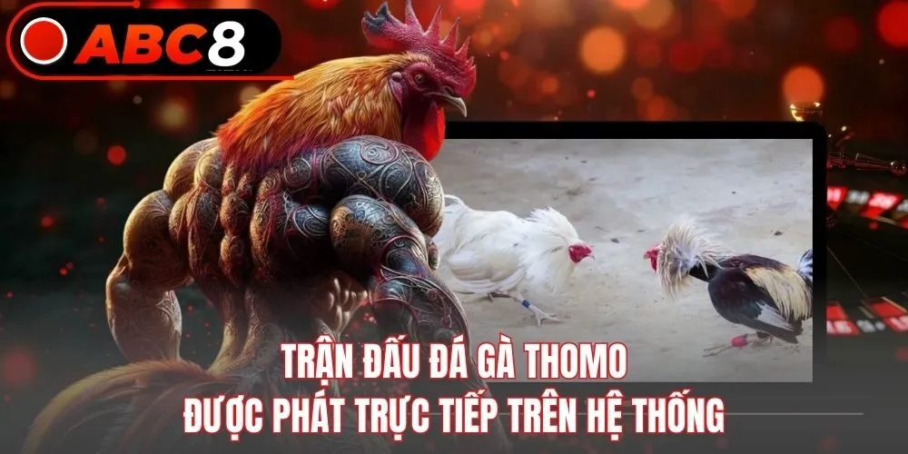 Trận đấu đá gà Thomo được phát trực tiếp trên hệ thống